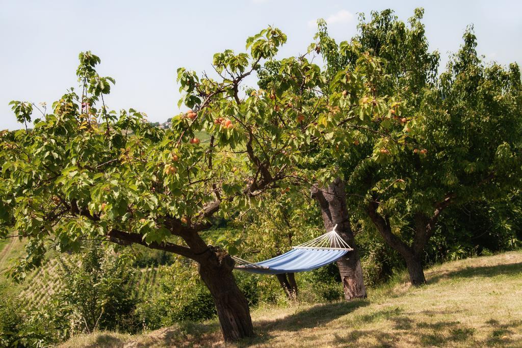 Bed and Breakfast Дом для отпуска На опушке San Damiano al Colle Экстерьер фото